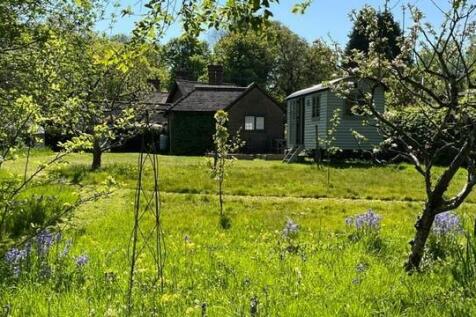 Spring Gardnen