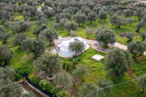 35_LAMIA_DEL_GECO_OSTUNI_WISHING_PUGLIA