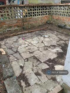 Back Garden Pic 2