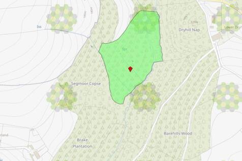 Loxbeare Wood