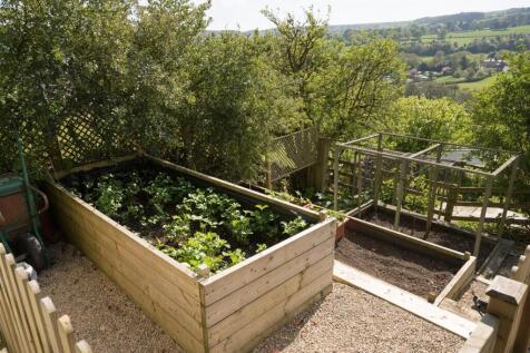 Veg garden