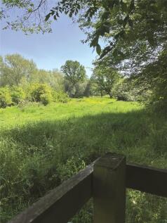 Singlers Marsh