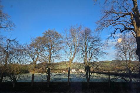 Views from the First Floor