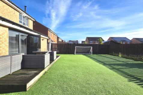 Property Image 43
