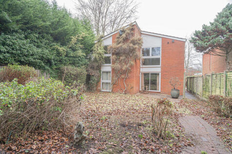 20260108-DSC07467...