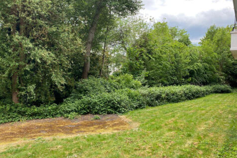 Communal Garden