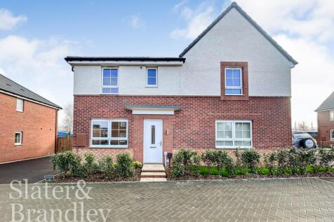 WhatsApp Image 2026-02-16 at 11.06.33 (1)