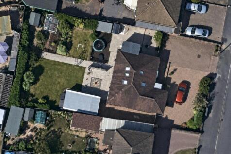 Birdseye