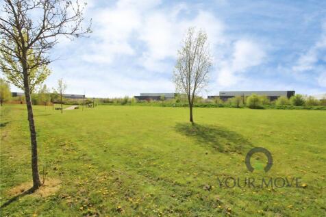 Field