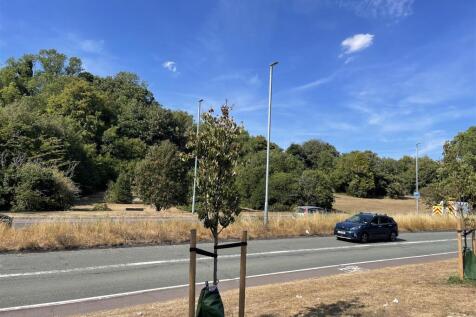 IMG_9285.jpeg