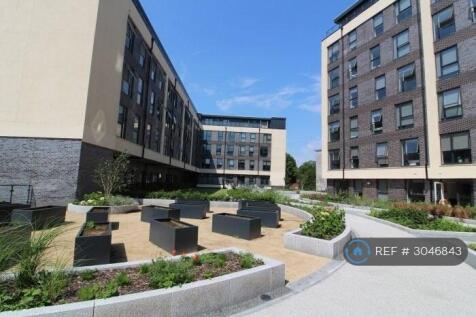 Communal Garden