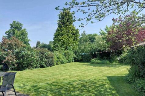 2025 Garden Image