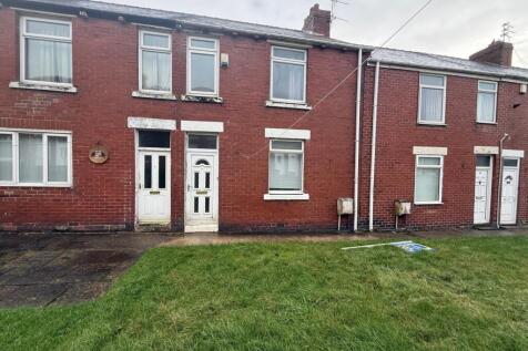 WhatsApp Image 2026-02-16 at 13.03.33 (15)