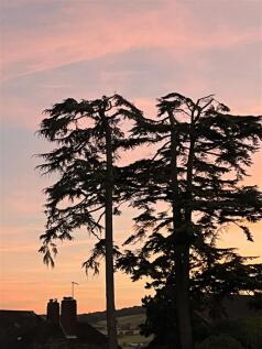 Lodge Drive 300.jpg