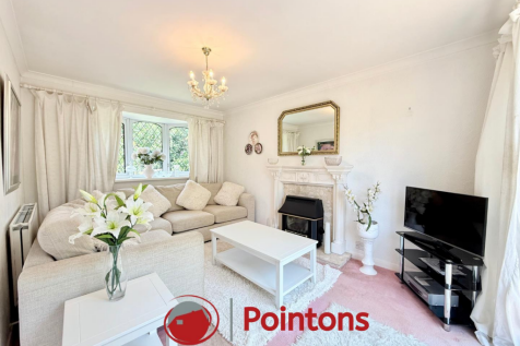 Logo image  (13).png