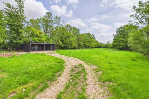 Garden - Track to carport
