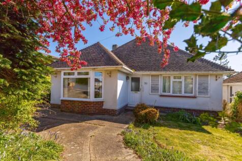 Ivydore Avenue_19