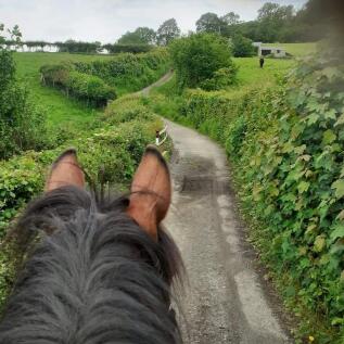 The Lanes