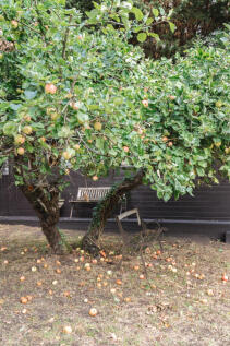 310994 - 84CranmoreLane_HighRes-69.jpg