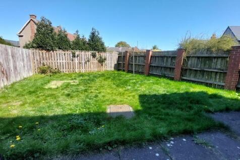 Back Garden