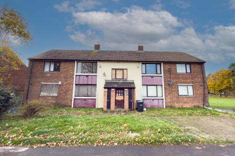 IMG 7079 T202511081225.jpg