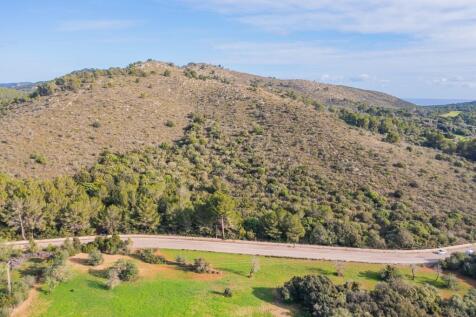 WhatsApp Image 2025-