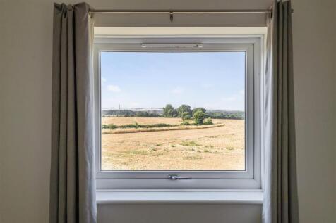 View from Bedroom