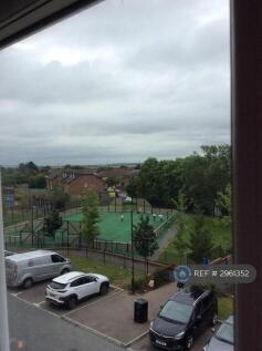 View From Kitchen/Living Room
