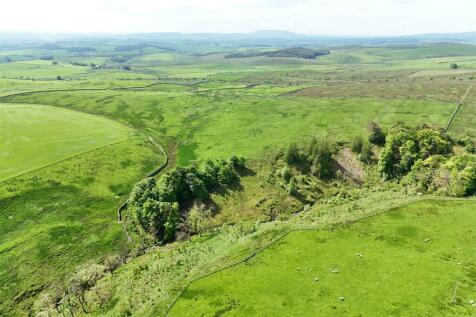 Land at Dykelands Lot 1_0016.jpg