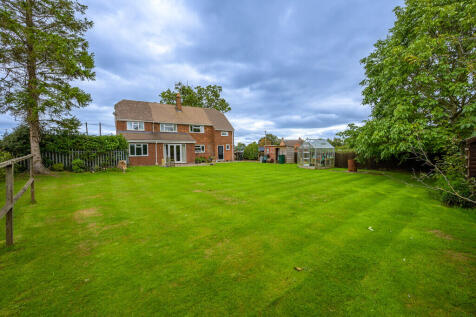 Back Garden