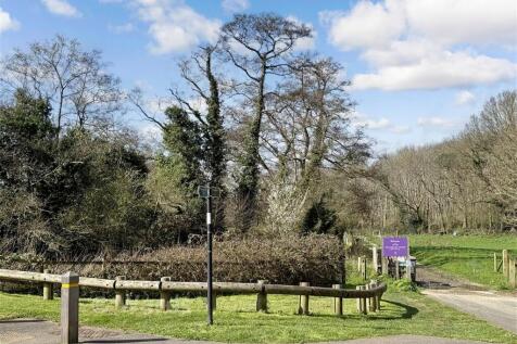 Local Walks
