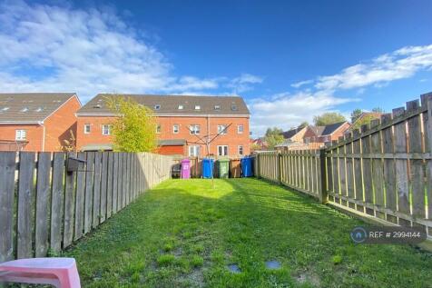 Back Garden