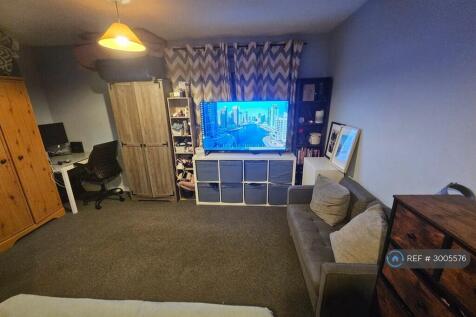 Main Living Space (Living Room/Diner/Bedroom)