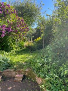 garden.jpeg