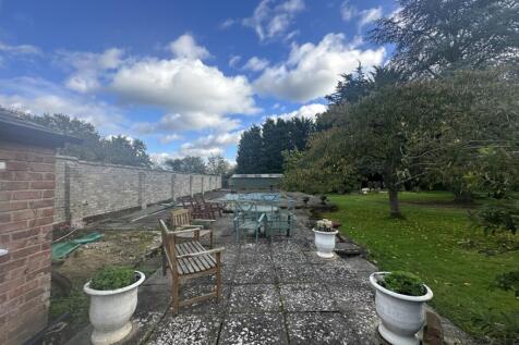 IMG 1708 T202510281537.jpg