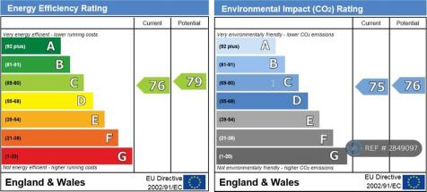 Ecp Rating