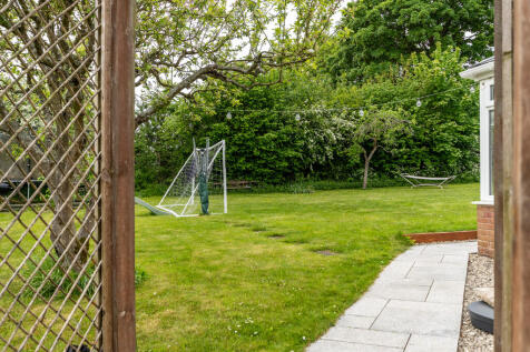 Back Garden 9