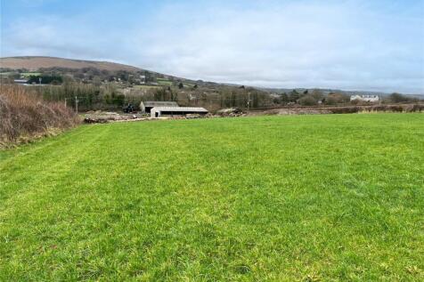 Picture 1
