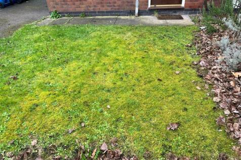 WhatsApp Image 2026-02-24 at 08.17.51 (2).jpeg