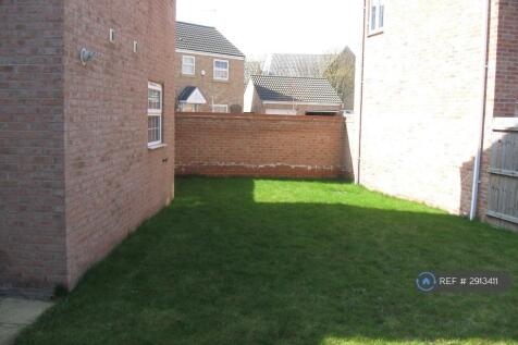 Back Garden