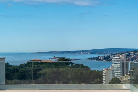 View (1)