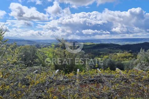 Panorama e Particolari