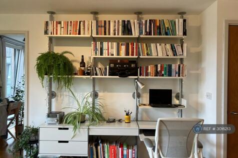 Study Area