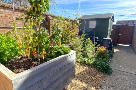 Veg garden