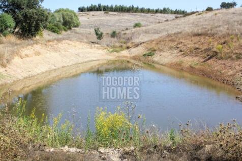 Pond