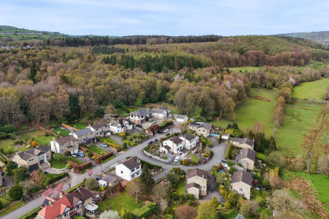 Aerial Shot