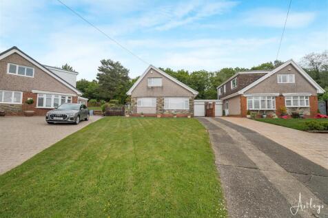 Driveway and garden