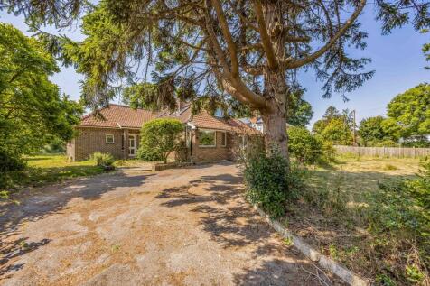 20240628125258961_original [551556347].jpg