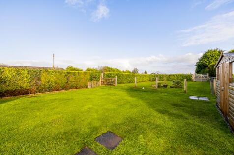 Pegasus (South Holland)-10