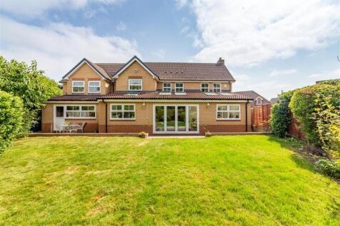 Property Image 36